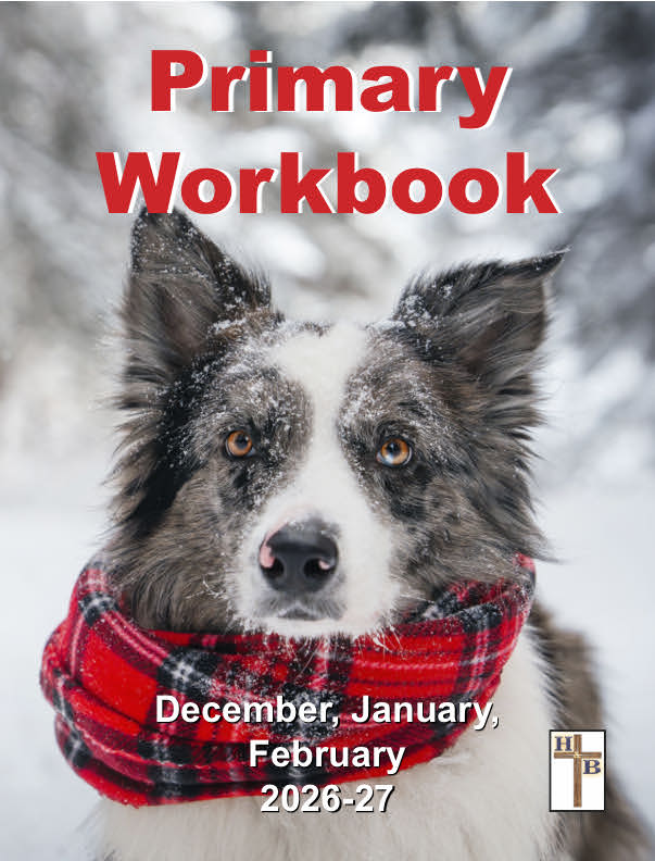 Primary Student Workbook